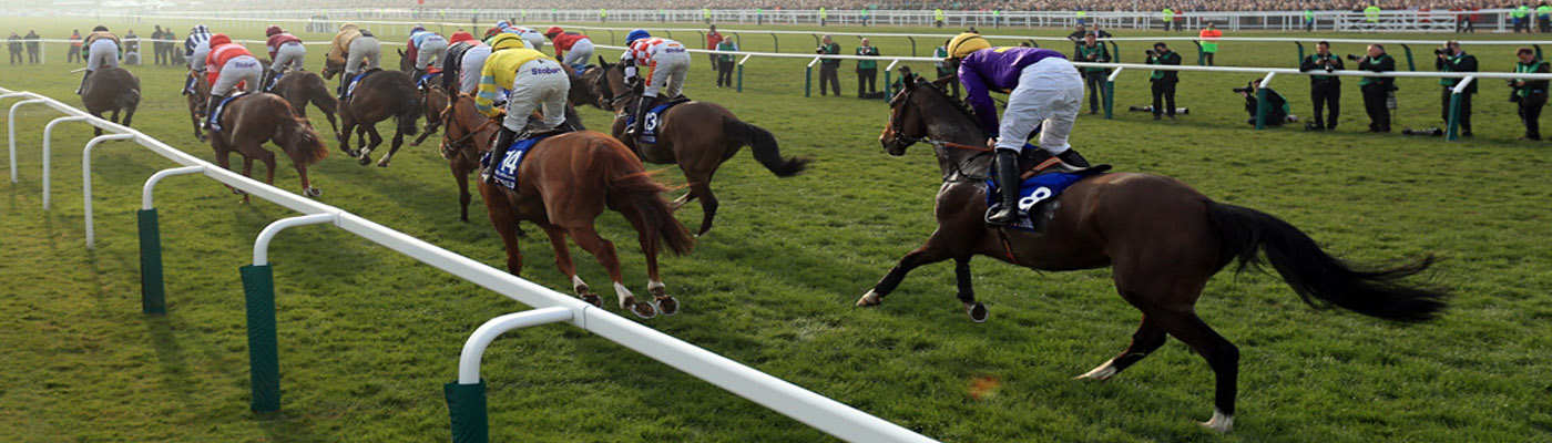 Horse racing bettıng